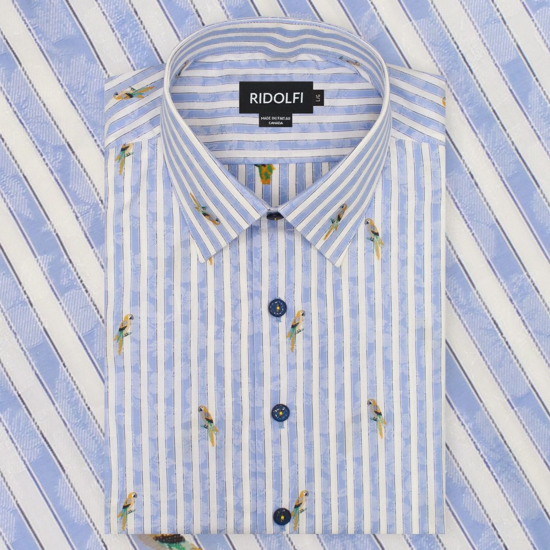Blue Striped Casual Shirt 81012 1 | Ridolfi Shirts