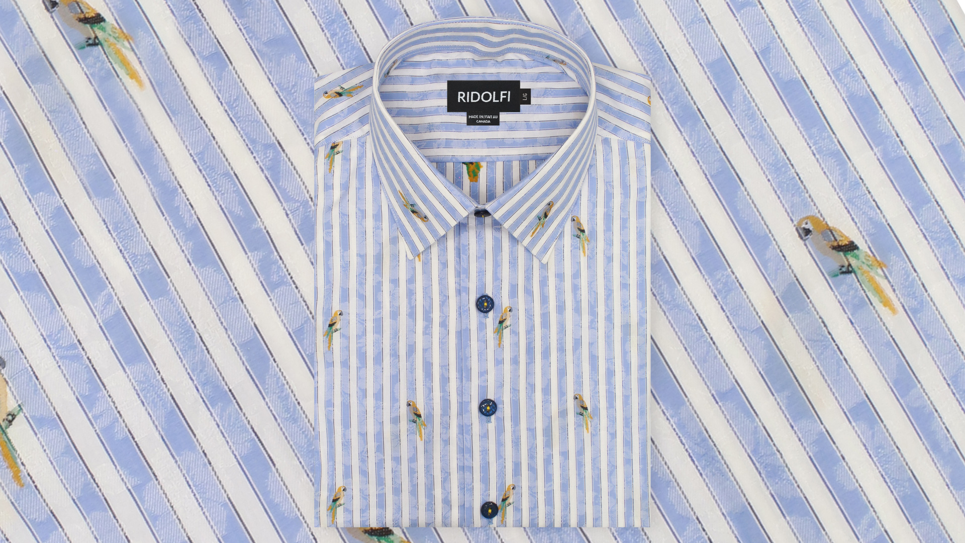 Blue Striped Casual Shirt 81012 1 | Ridolfi Shirts